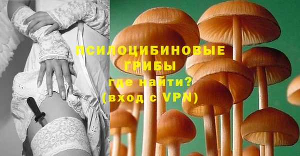 альфа пвп Коряжма